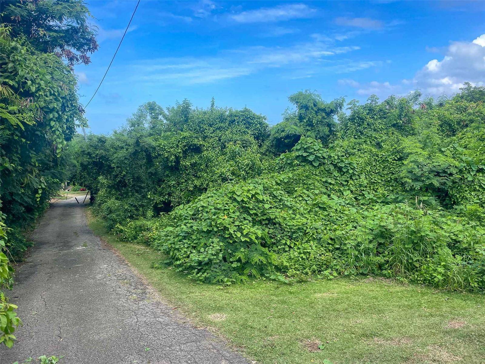 30 CALLE ALTA, Vieques, PR 00765