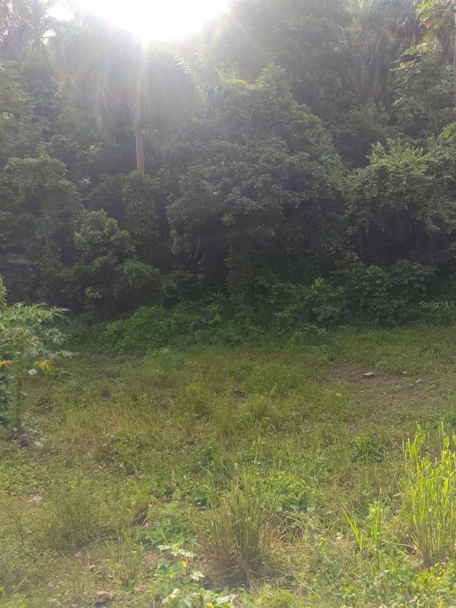 CARR 821 KM 1.9, Corozal, PR 00783