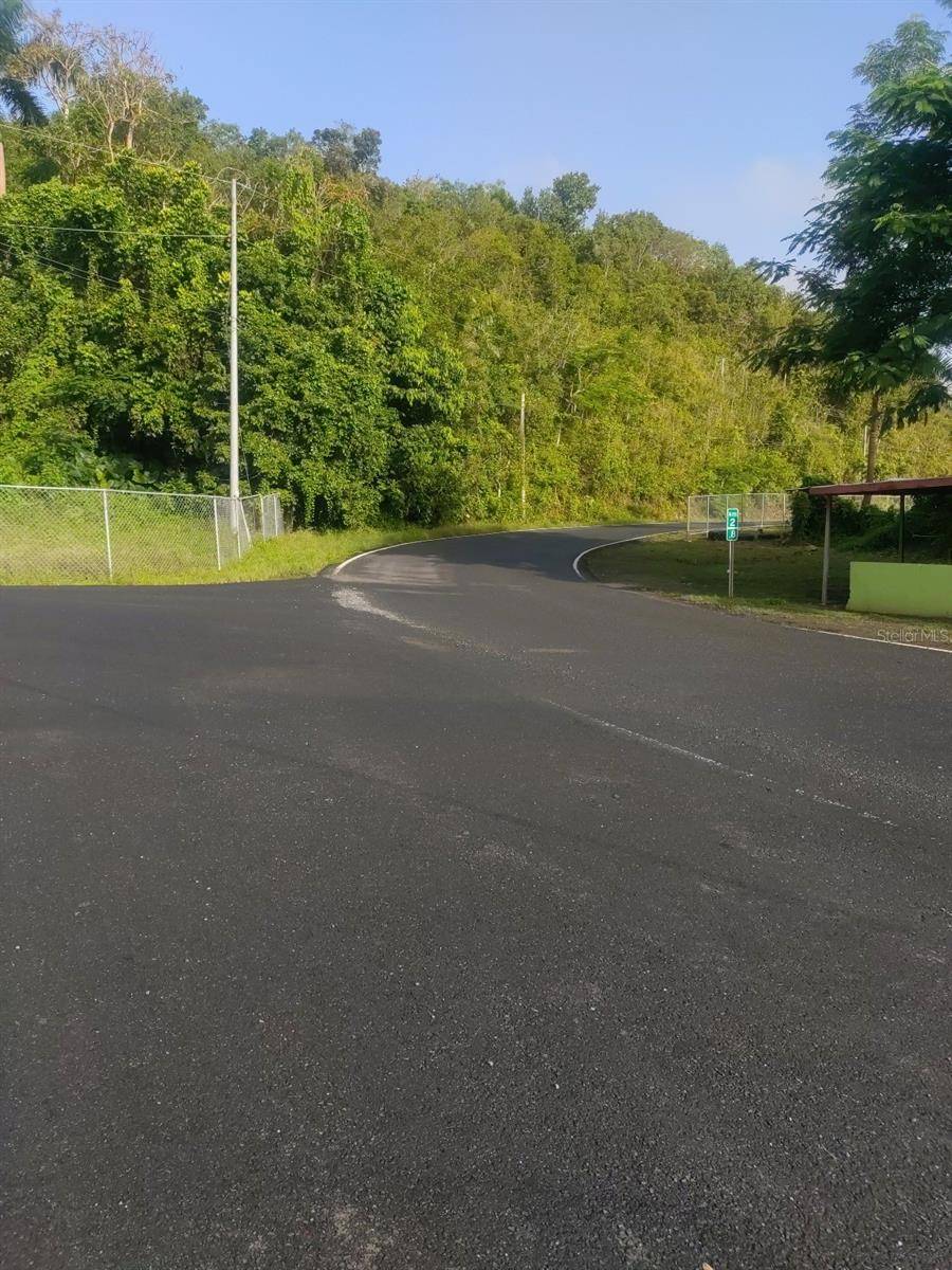 CARR 821 KM 1.9, Corozal, PR 00783