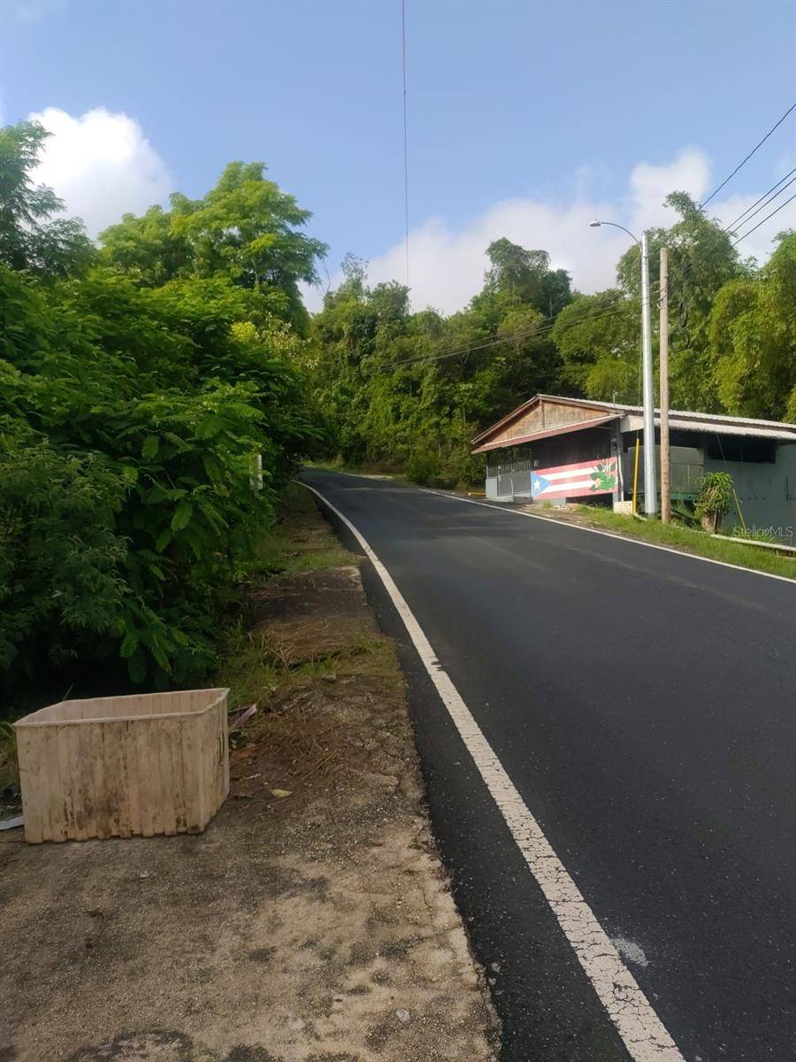 CARR 821 KM 1.9, Corozal, PR 00783