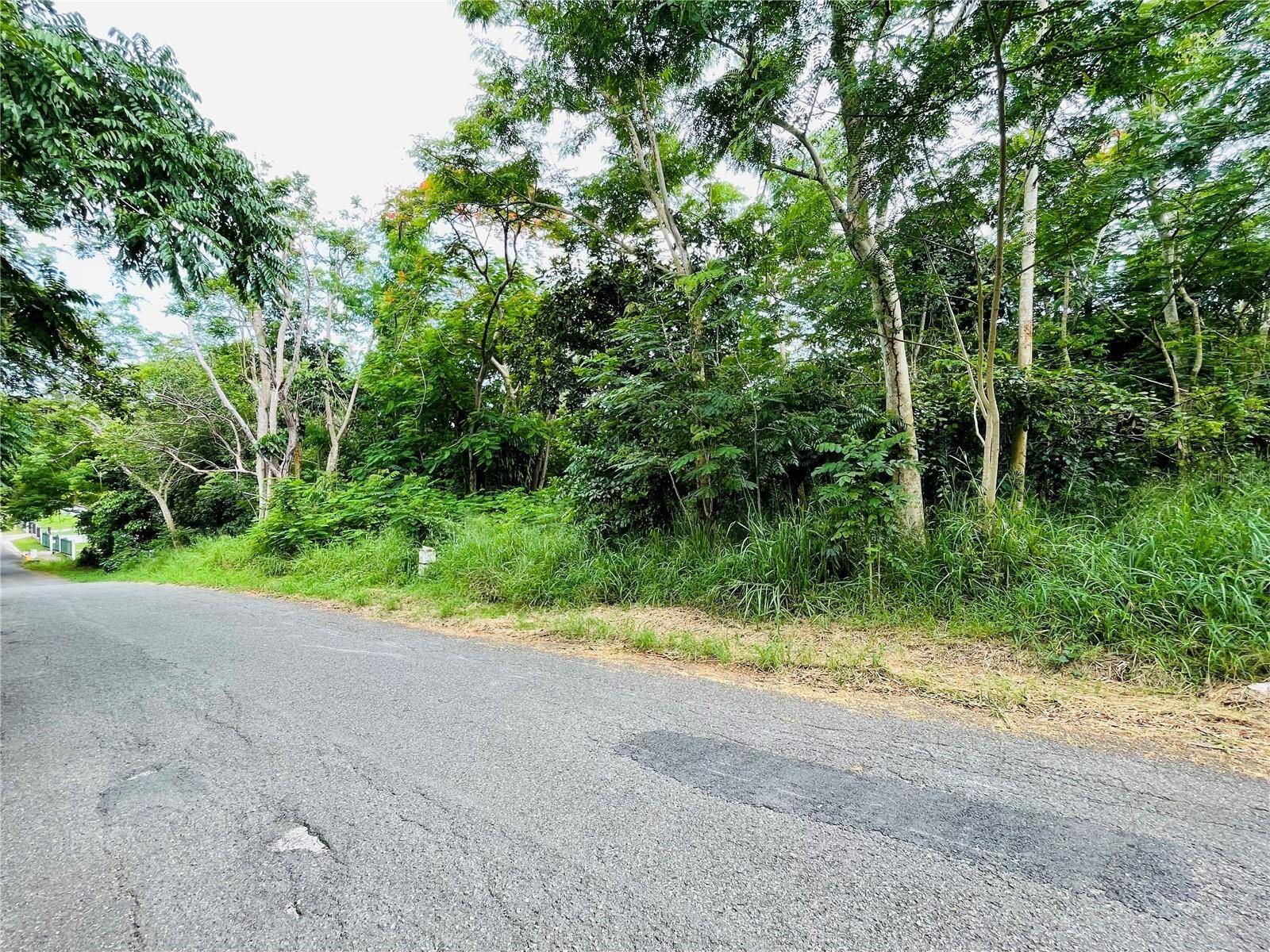 CARR 100 KM 5.2 BO. MIRADERO, Cabo Rojo, PR 00623