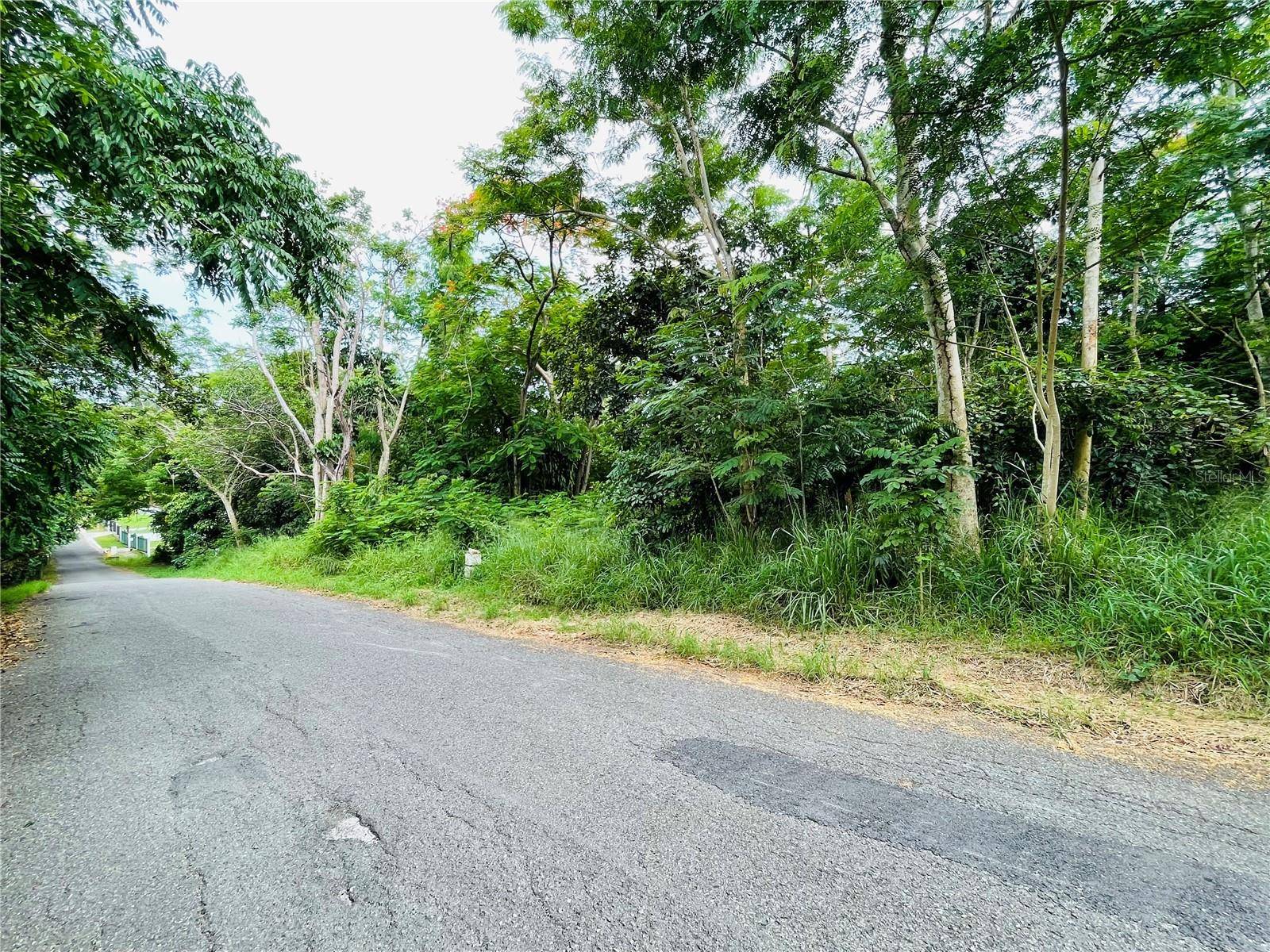 CARR 100 KM 5.2 BO. MIRADERO, Cabo Rojo, PR 00623