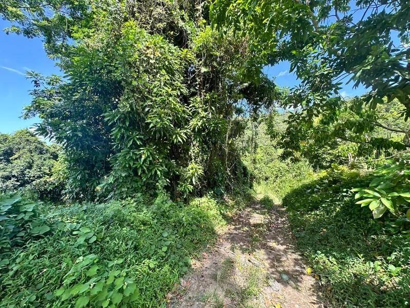 Road PR-140 km 34.2 BARRIO DON ALONSO, Utuado, PR 00641