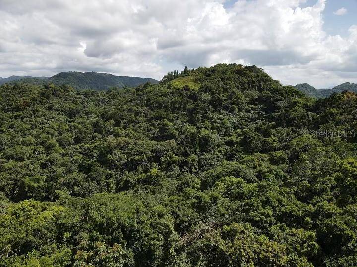 Road PR-140 km 34.2 BARRIO DON ALONSO, Utuado, PR 00641