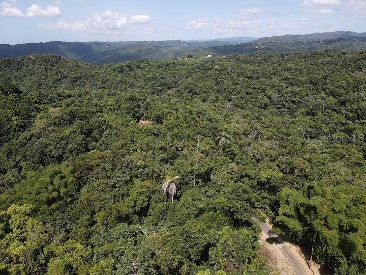 Road PR-140 km 34.2 BARRIO DON ALONSO, Utuado, PR 00641