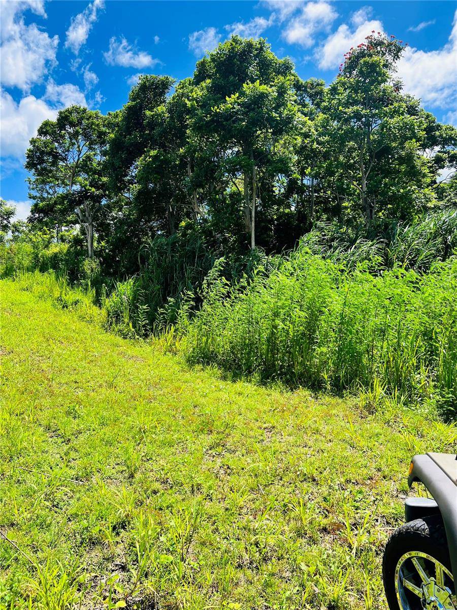 857 CARRETERA, Carolina, PR 00987