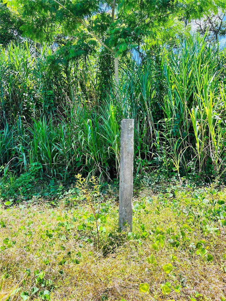 857 CARRETERA, Carolina, PR 00987