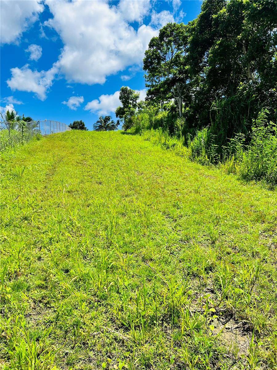 857 CARRETERA, Carolina, PR 00987