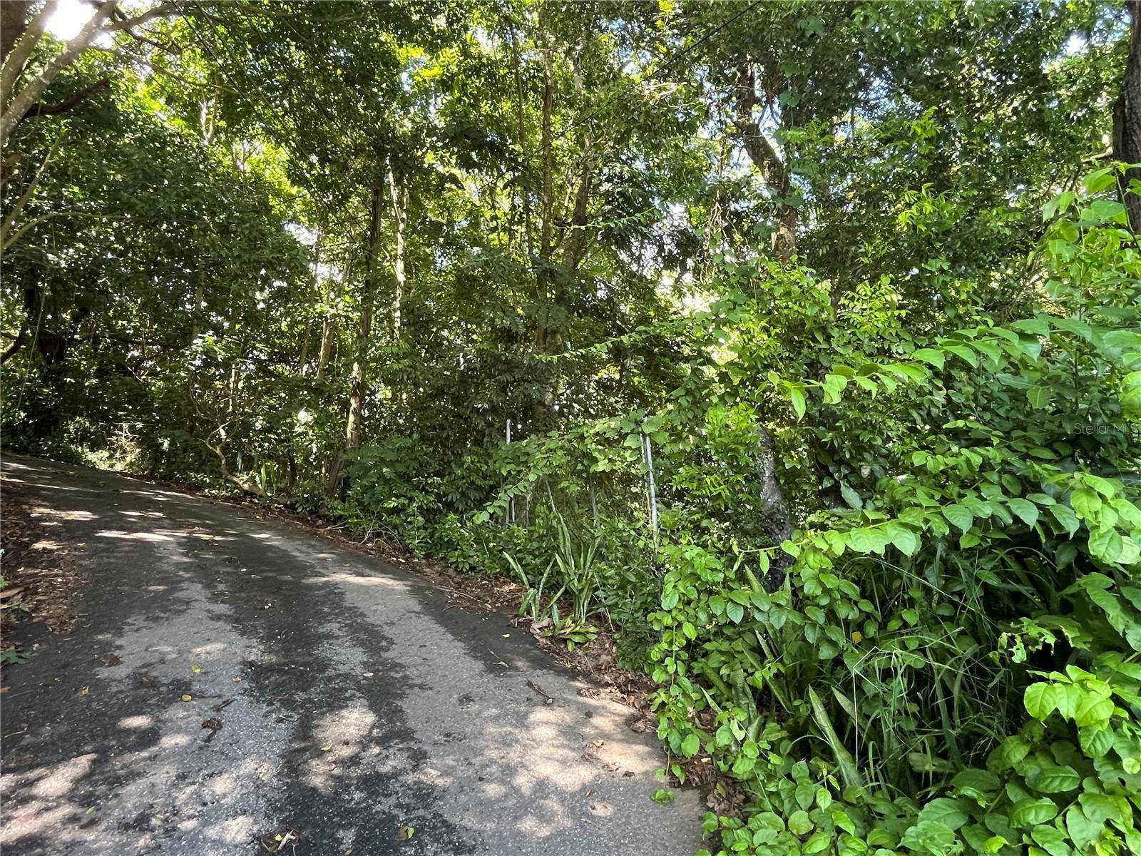 CARR 347 KM 1.6 BO SABANA GRANDE ABAJO, San German, PR 00683
