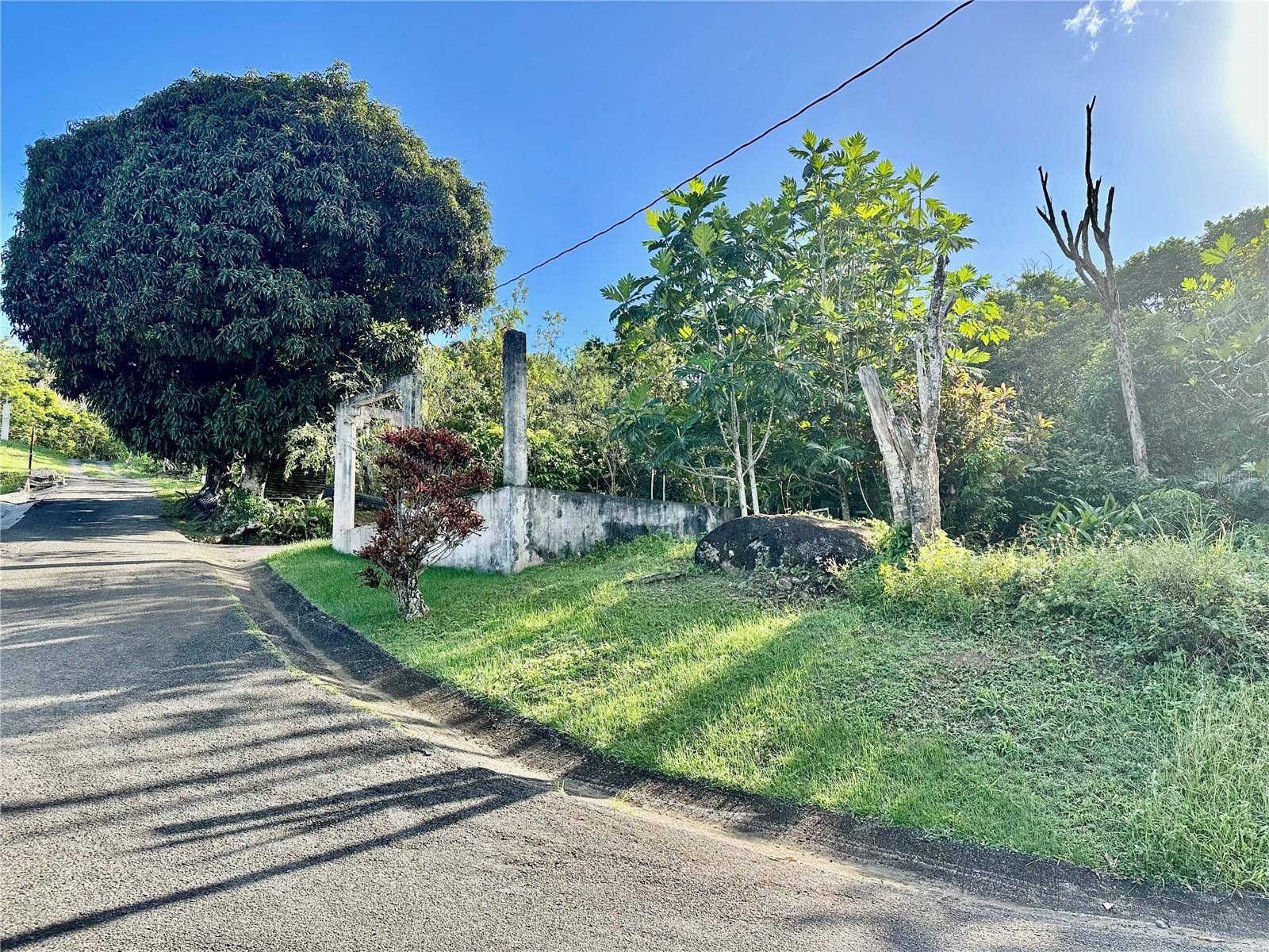 Road 185 Barrio Cedros ROAD 185 BARRIO CEDROS, Carolina, PR 00987