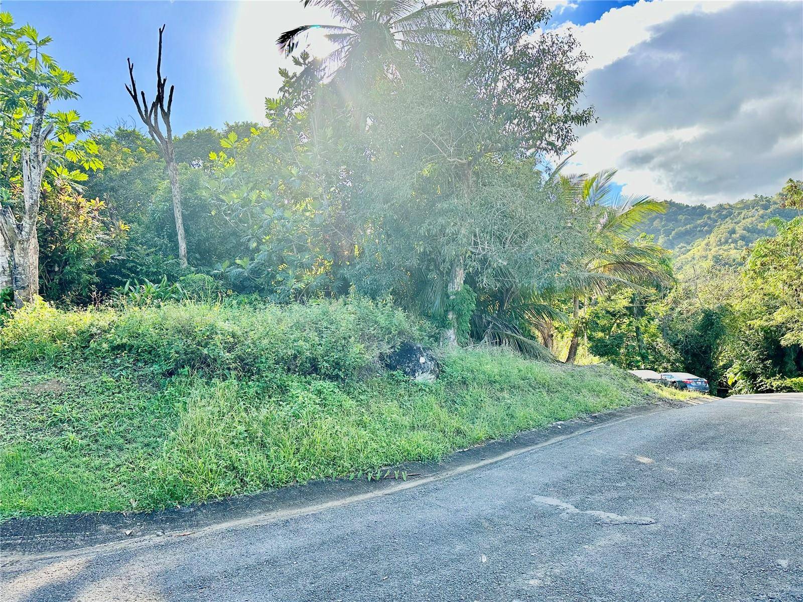Road 185 Barrio Cedros ROAD 185 BARRIO CEDROS, Carolina, PR 00987