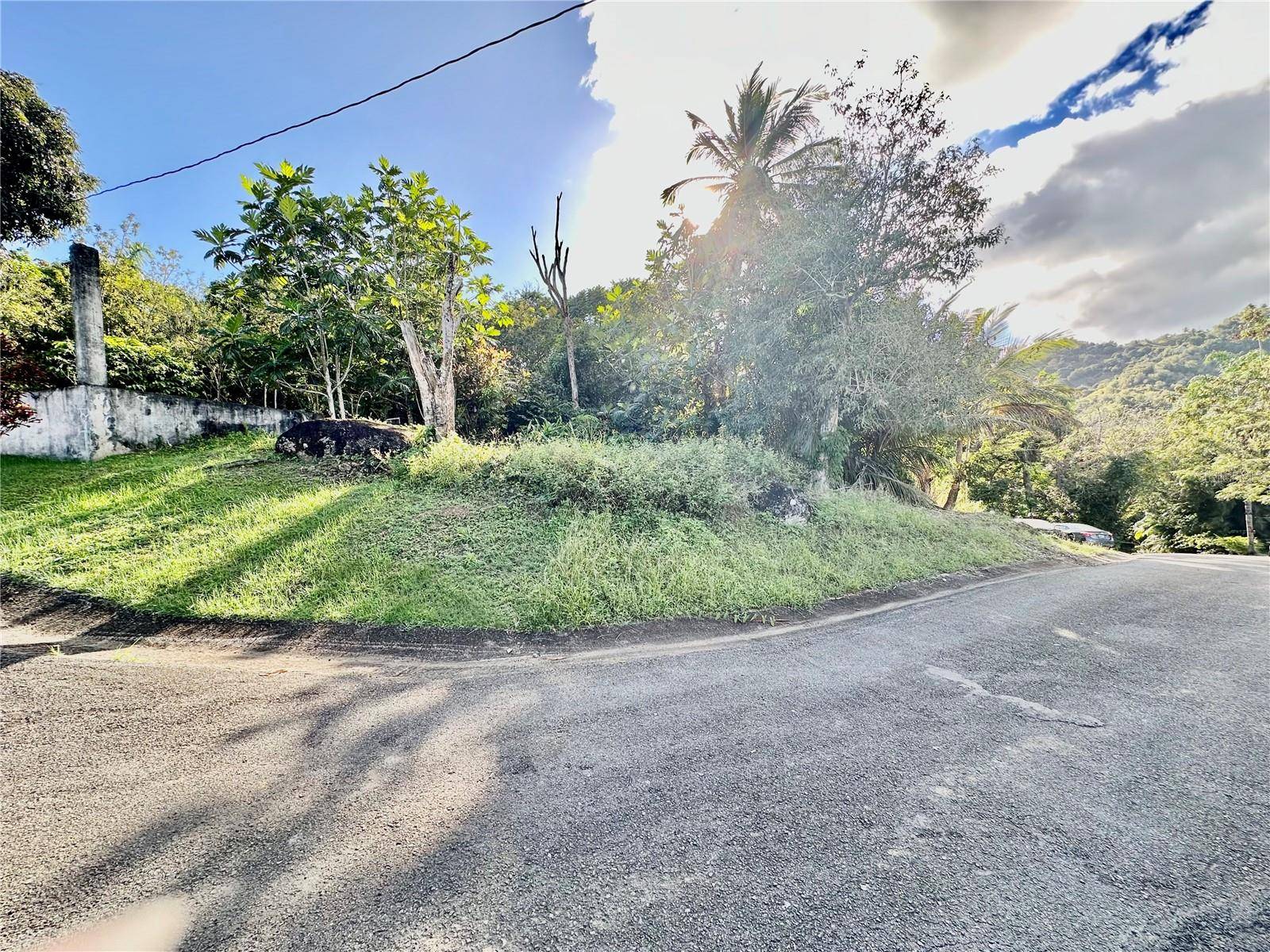 Road 185 Barrio Cedros ROAD 185 BARRIO CEDROS, Carolina, PR 00987