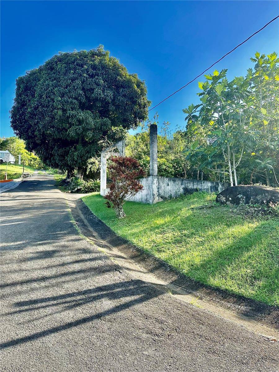 Road 185 Barrio Cedros ROAD 185 BARRIO CEDROS, Carolina, PR 00987