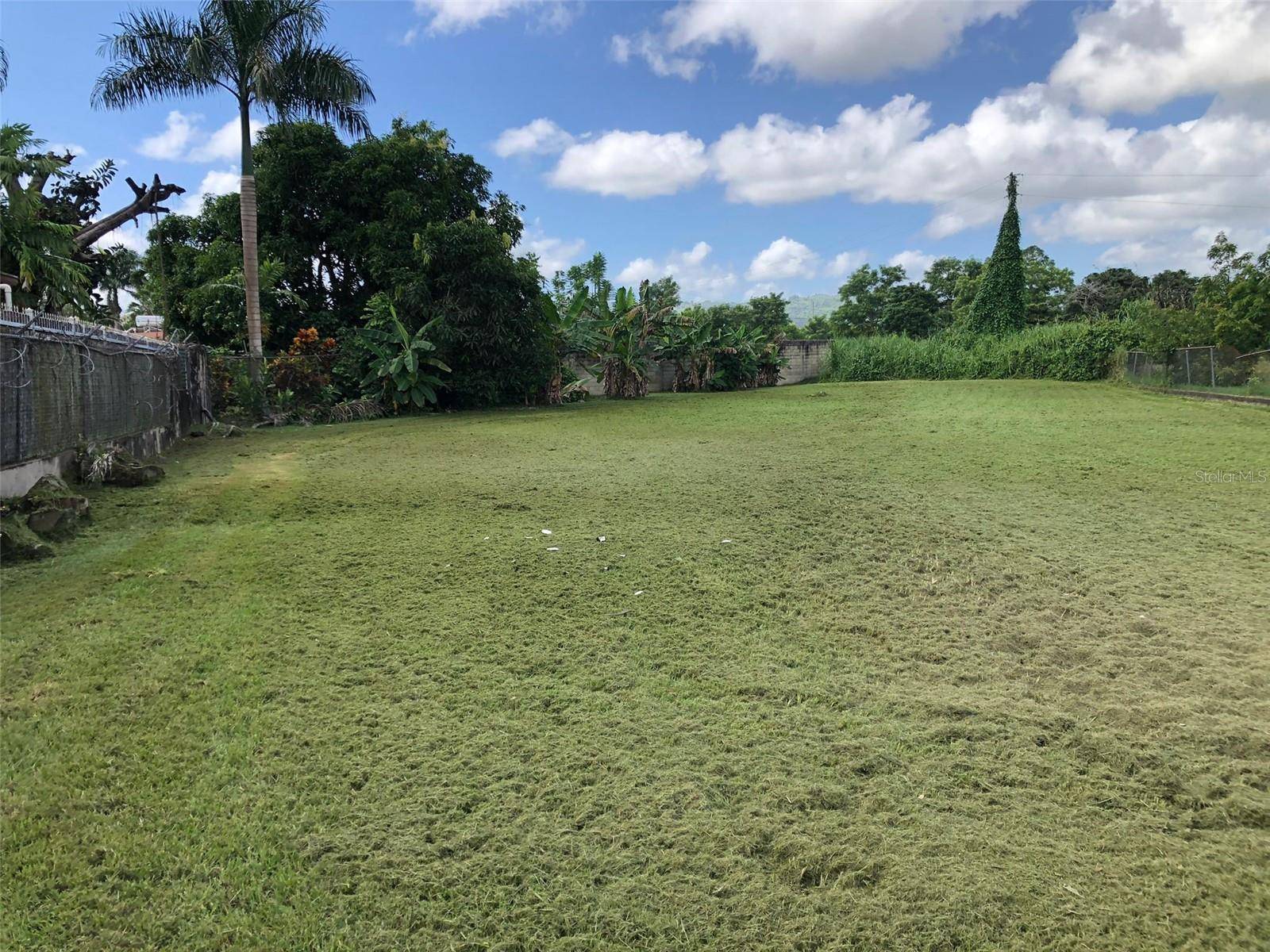 URB. TERALINDA CALLE TOLEDO ##6, Caguas, PR 00725