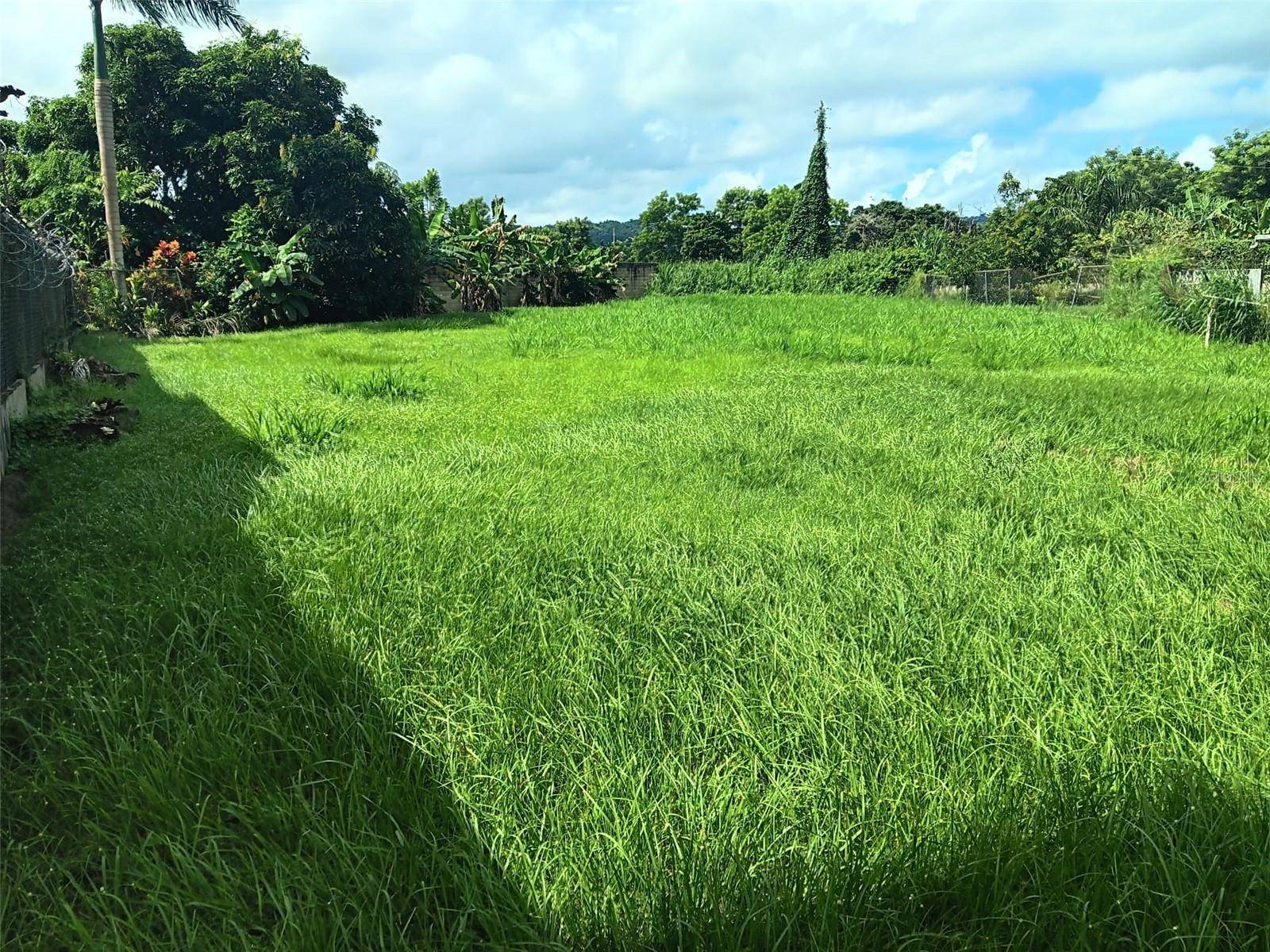 URB. TERALINDA CALLE TOLEDO ##6, Caguas, PR 00725