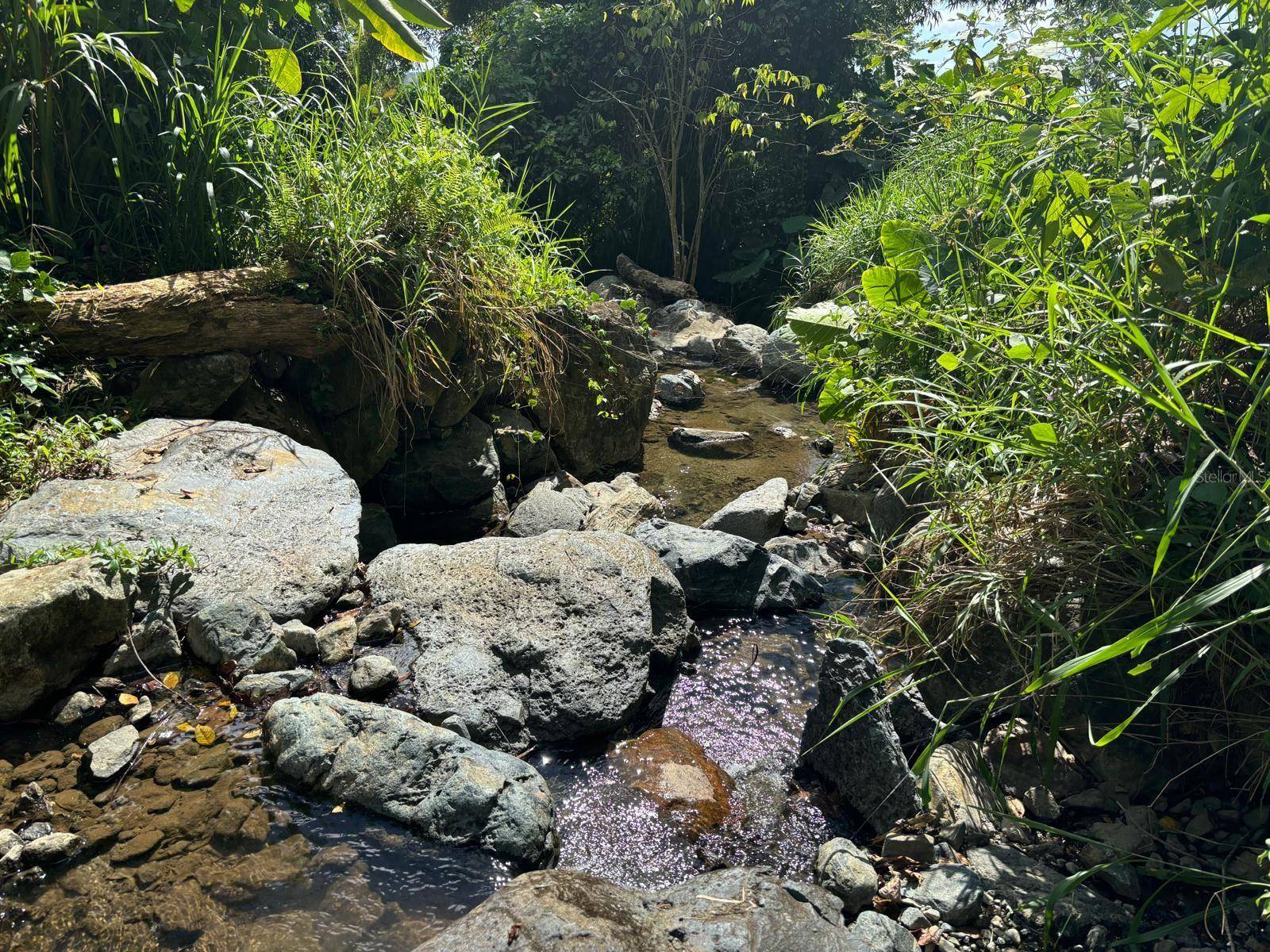 31 INT 950 KM.HM 9.7 BO RIO BLANCO, Naguabo, PR 00718