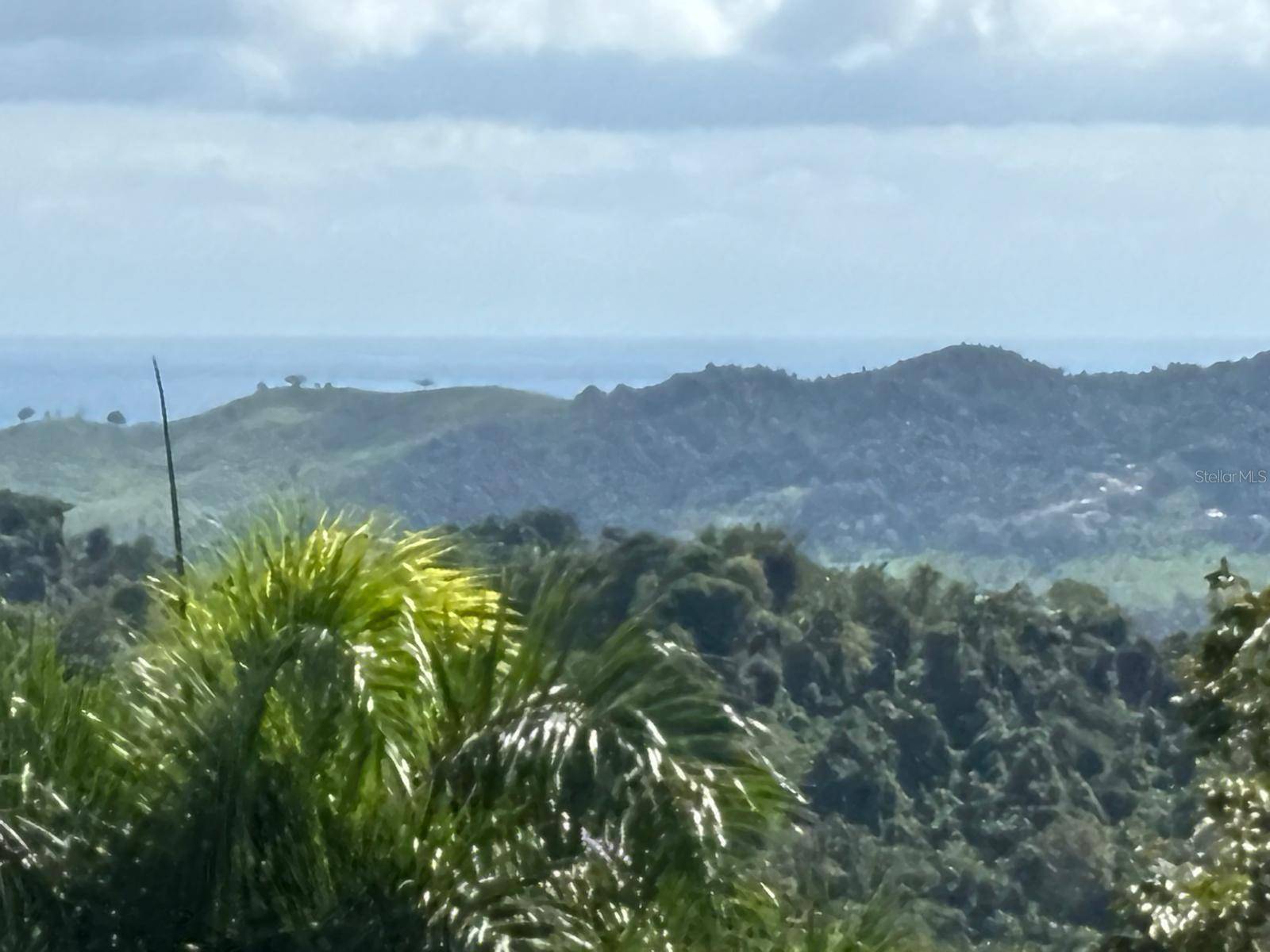 31 INT 950 KM.HM 9.7 BO RIO BLANCO, Naguabo, PR 00718