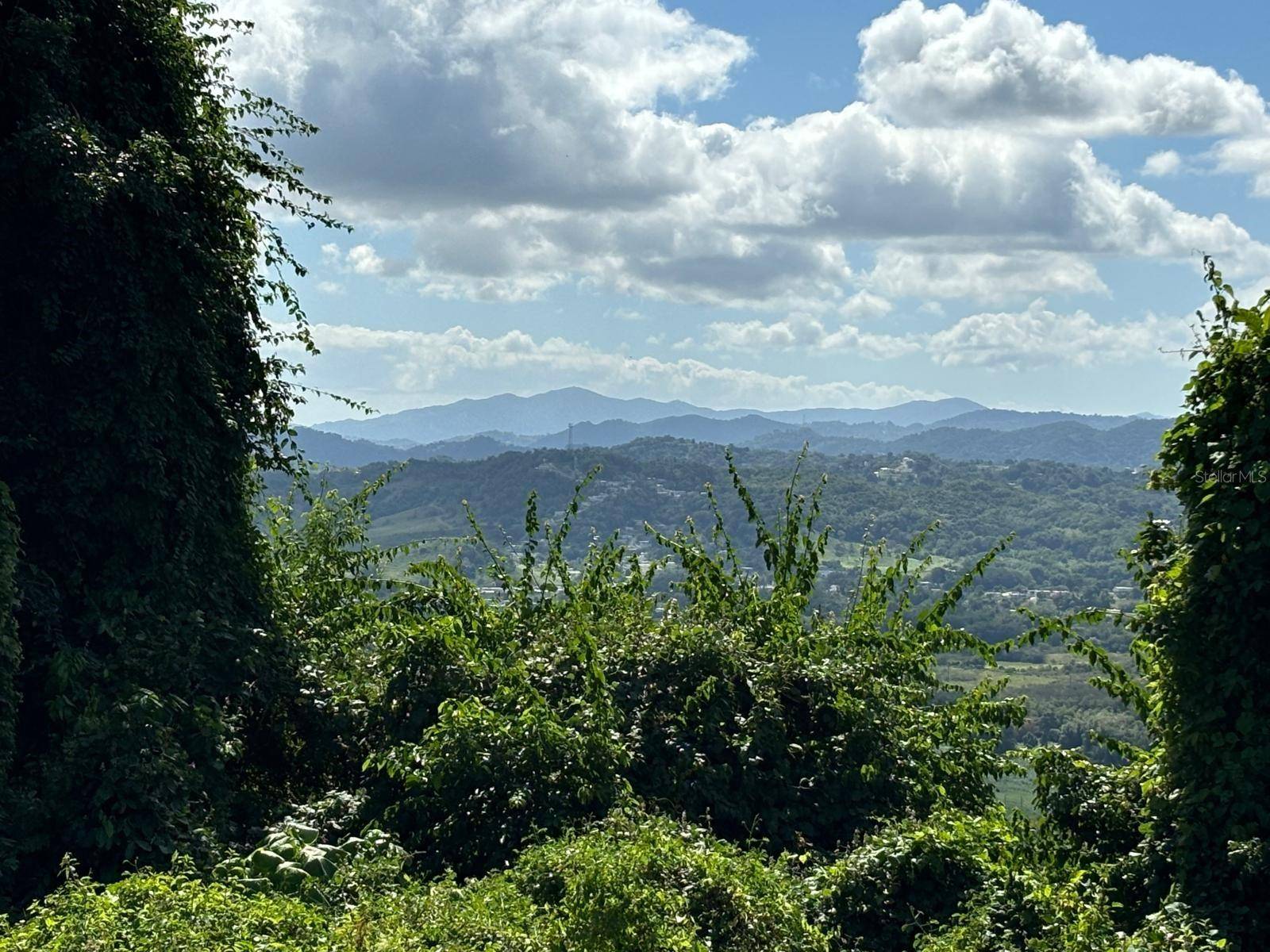 31 INT 950 KM.HM 9.7 BO RIO BLANCO, Naguabo, PR 00718
