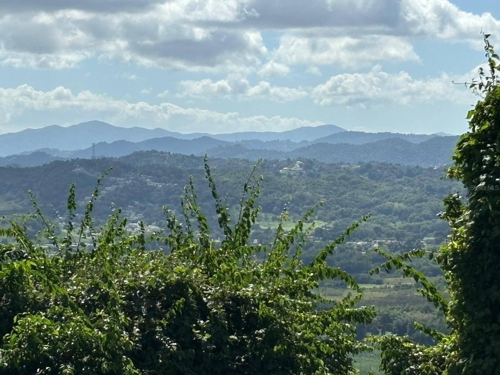 31 INT 950 KM.HM 9.7 BO RIO BLANCO, Naguabo, PR 00718