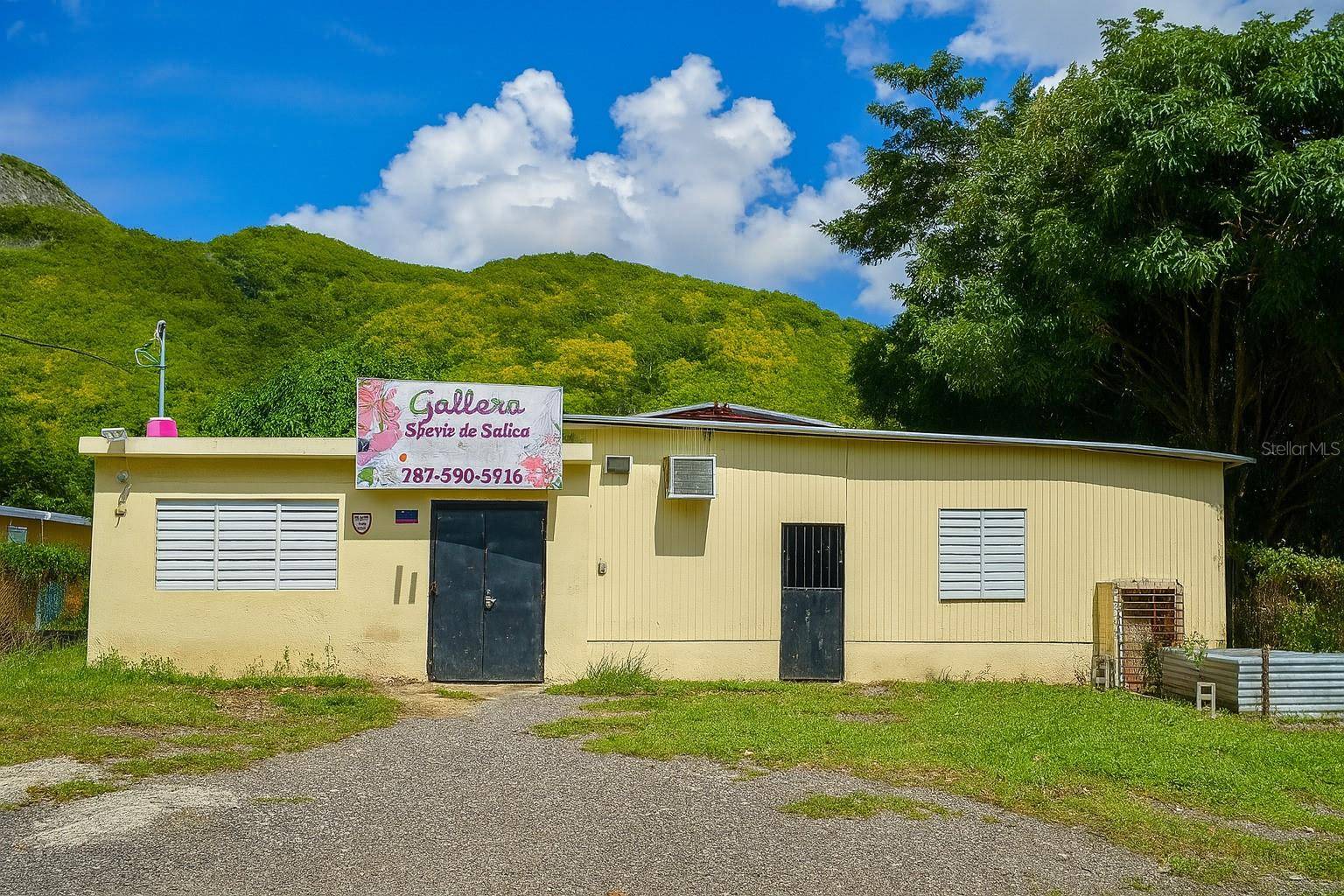 Barrio Quebrada Yeguas LA PLENA 94, Salinas, PR 00751