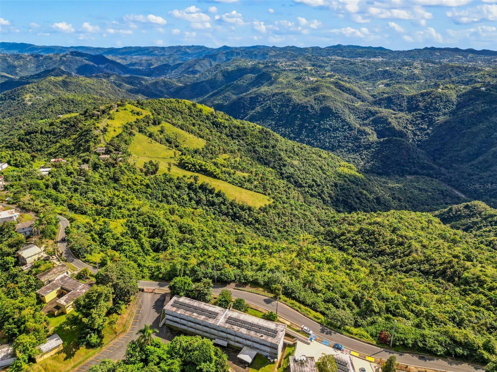 Carr. 156 KM 20.1 INTERIOR BO. HONDURAS, Barranquitas, PR 00794