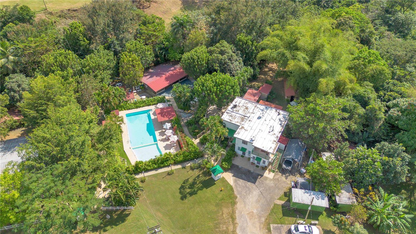 132 QUEBRADA CEIBA, Penuelas, PR 00624