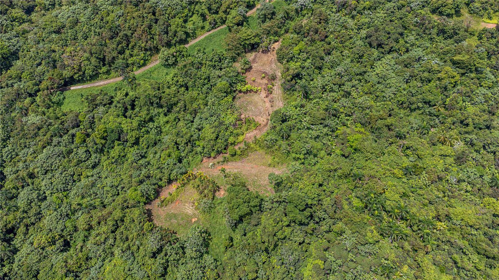 NARANJO WARD INT. PR 984, Fajardo, PR 00738