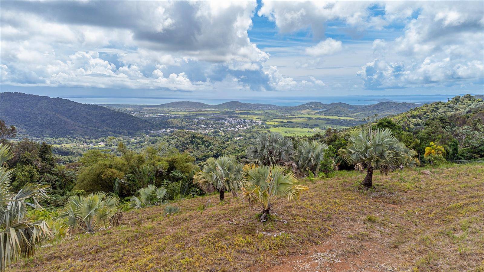 NARANJO WARD INT. PR 984, Fajardo, PR 00738