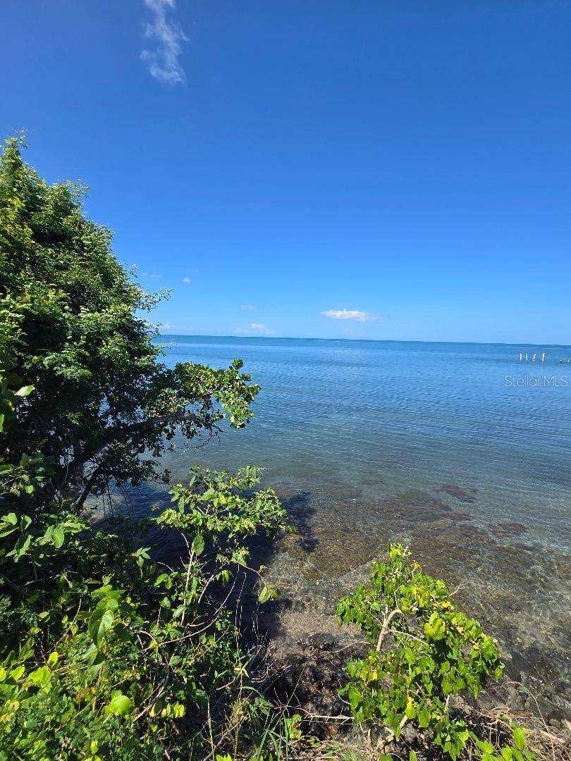 BO GUANAJIBO CARR 102, Cabo Rojo, PR 00623