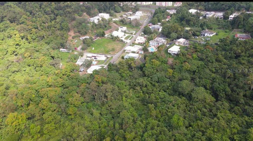 Rd. 859 Km. 1.5 BO. SANTA CRUZ, Carolina, PR 00987
