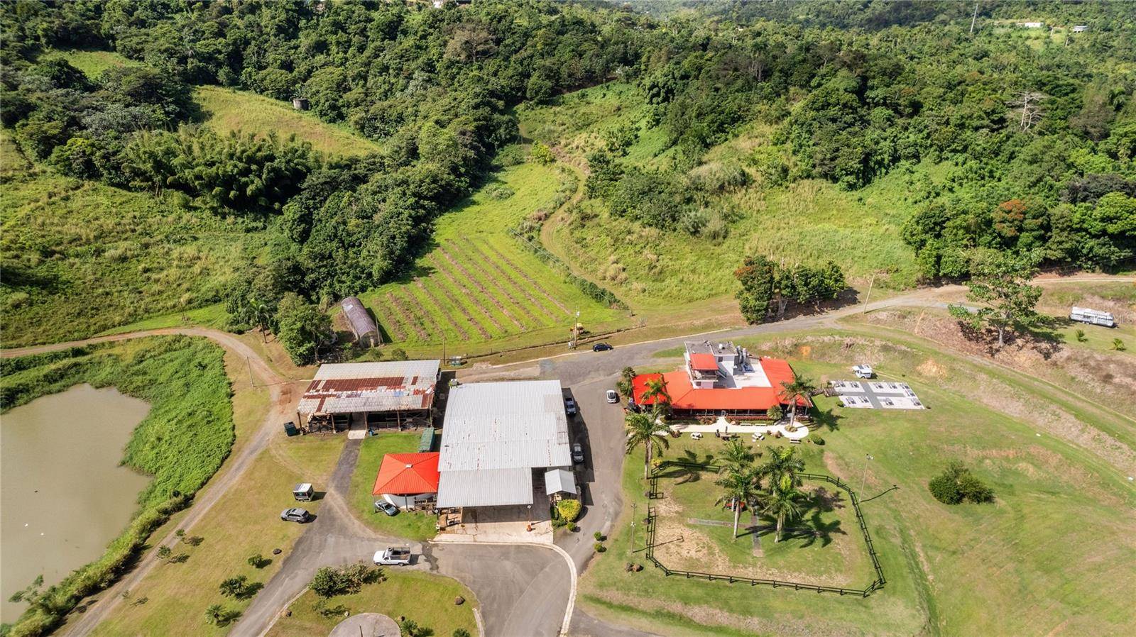 HACIENDA CASCADA, Aguas Buenas, PR 00703