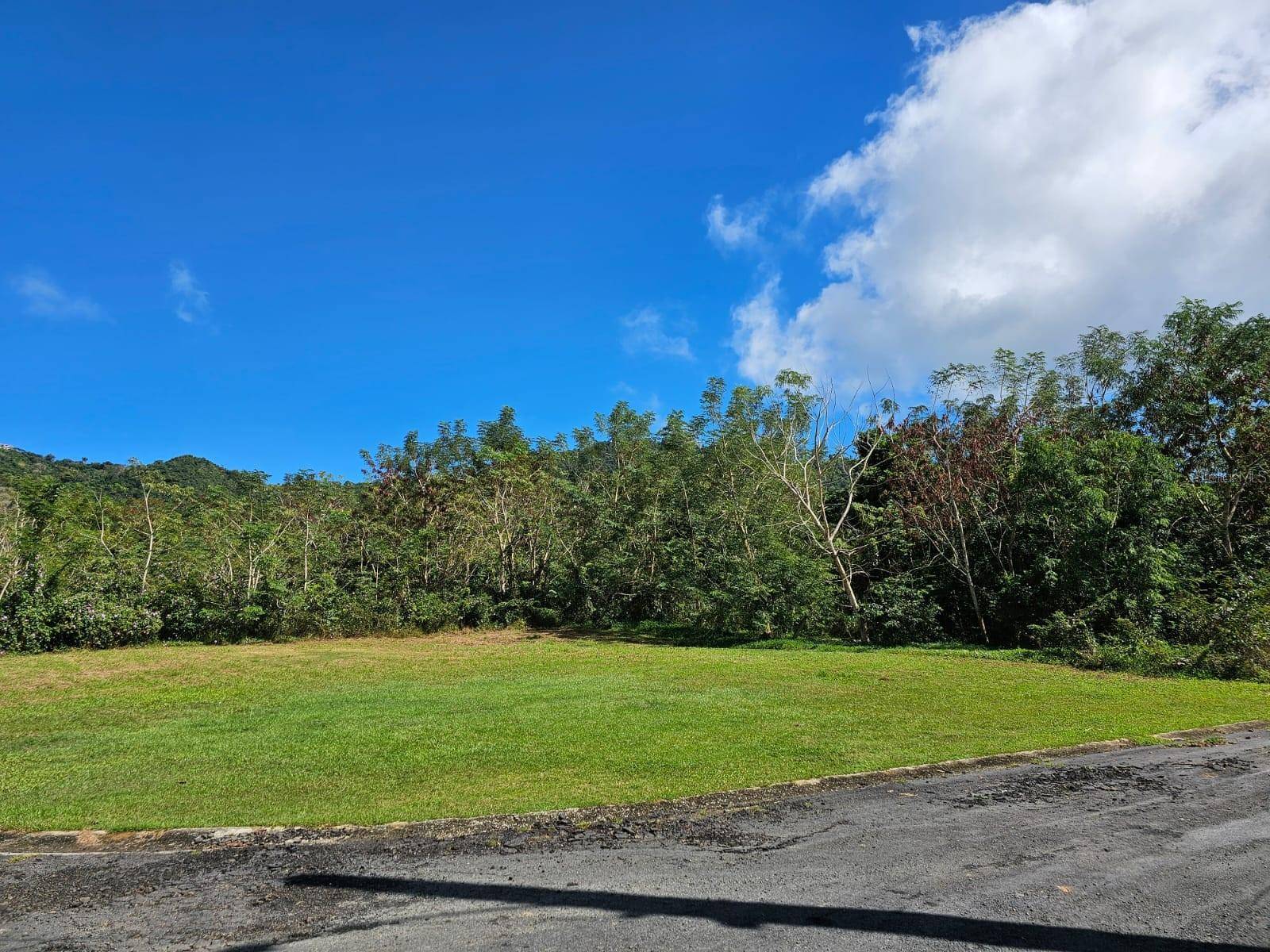 BO. CELADA SECTOR LOS CHINO, Gurabo, PR 00778
