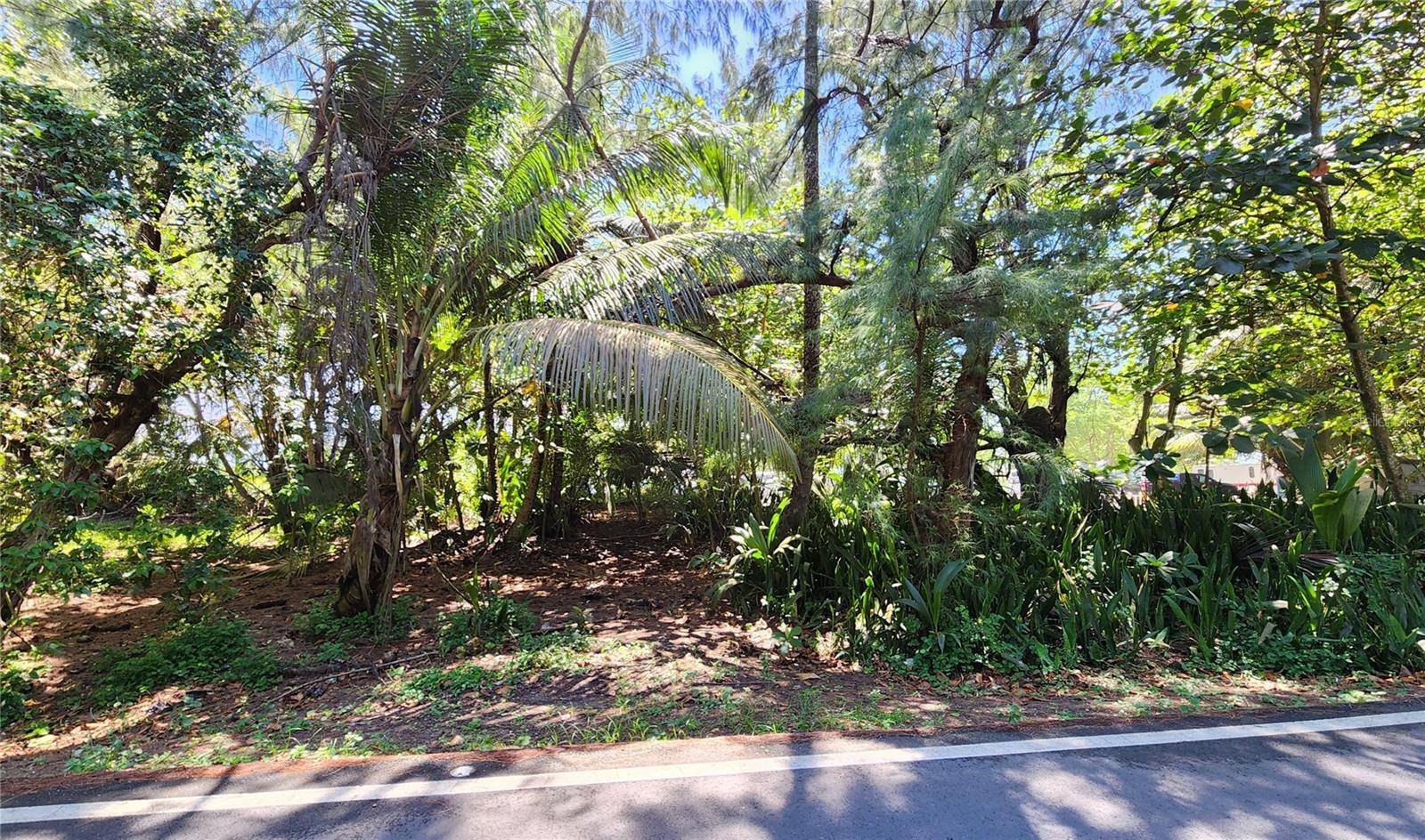Puerto Nuevo ward PR 686 #Lot. 9, Vega Baja, PR 00693