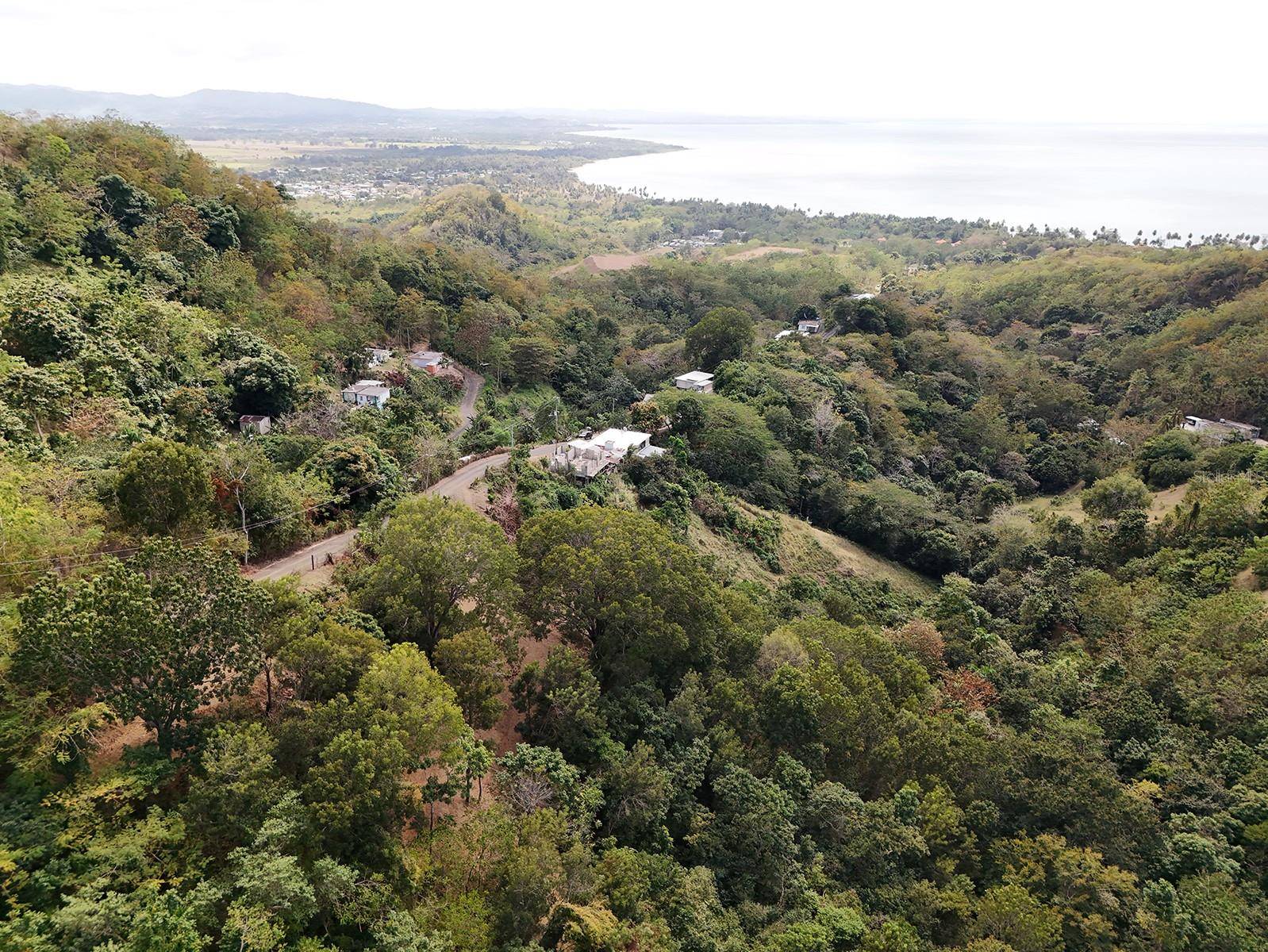 ENT LA FERRAR, Anasco, PR 00610