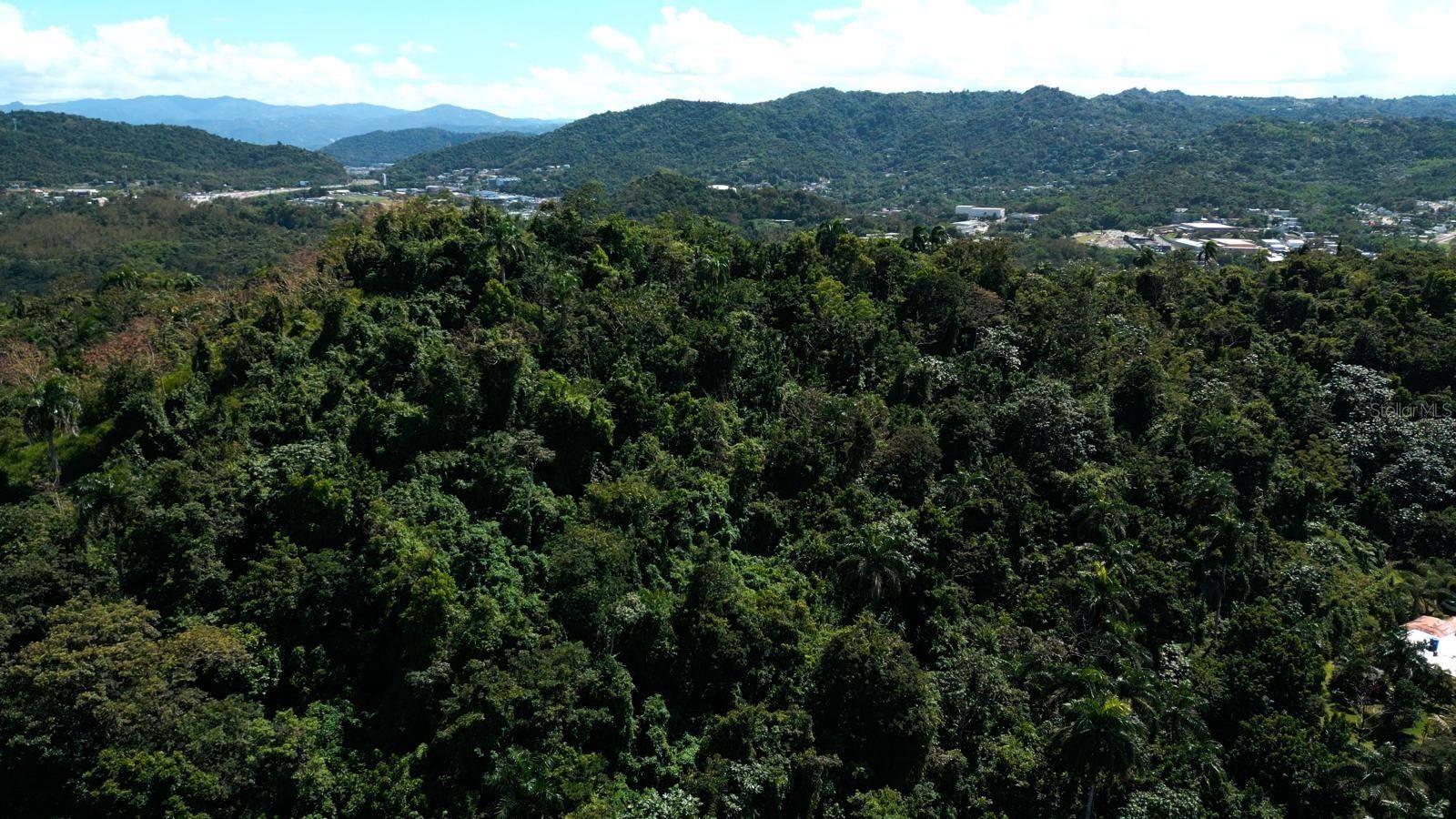 175 BO SAN ANTONIO, Caguas, PR 00725