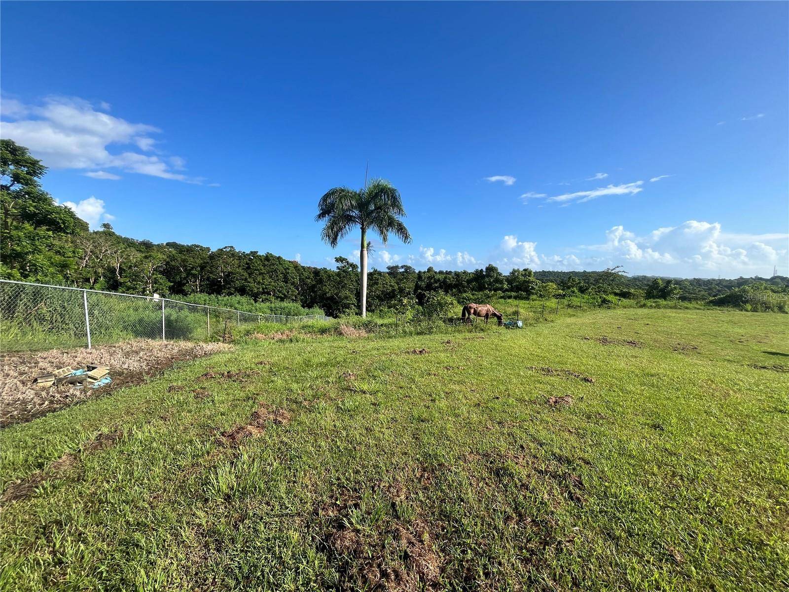CARR. 857 KM.HM 003 3 BO. CANOVANILLAS, Carolina, PR 00987