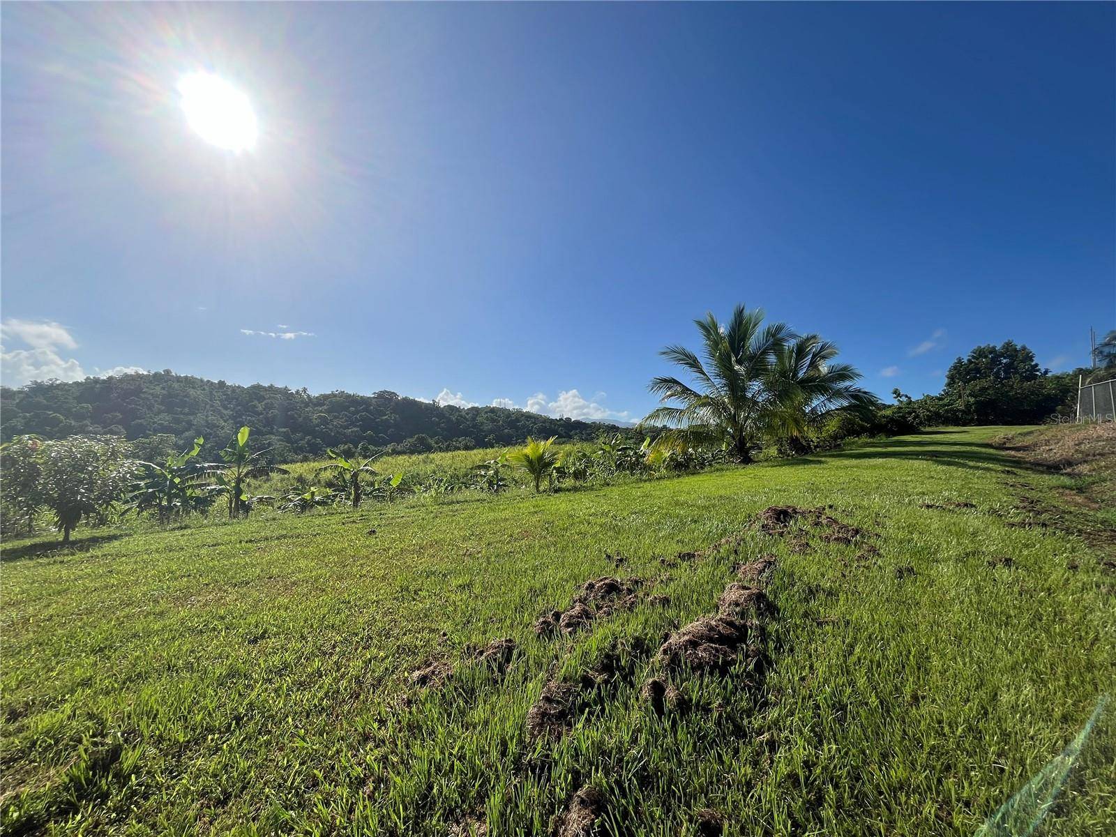 CARR. 857 KM.HM 003 3 BO. CANOVANILLAS, Carolina, PR 00987