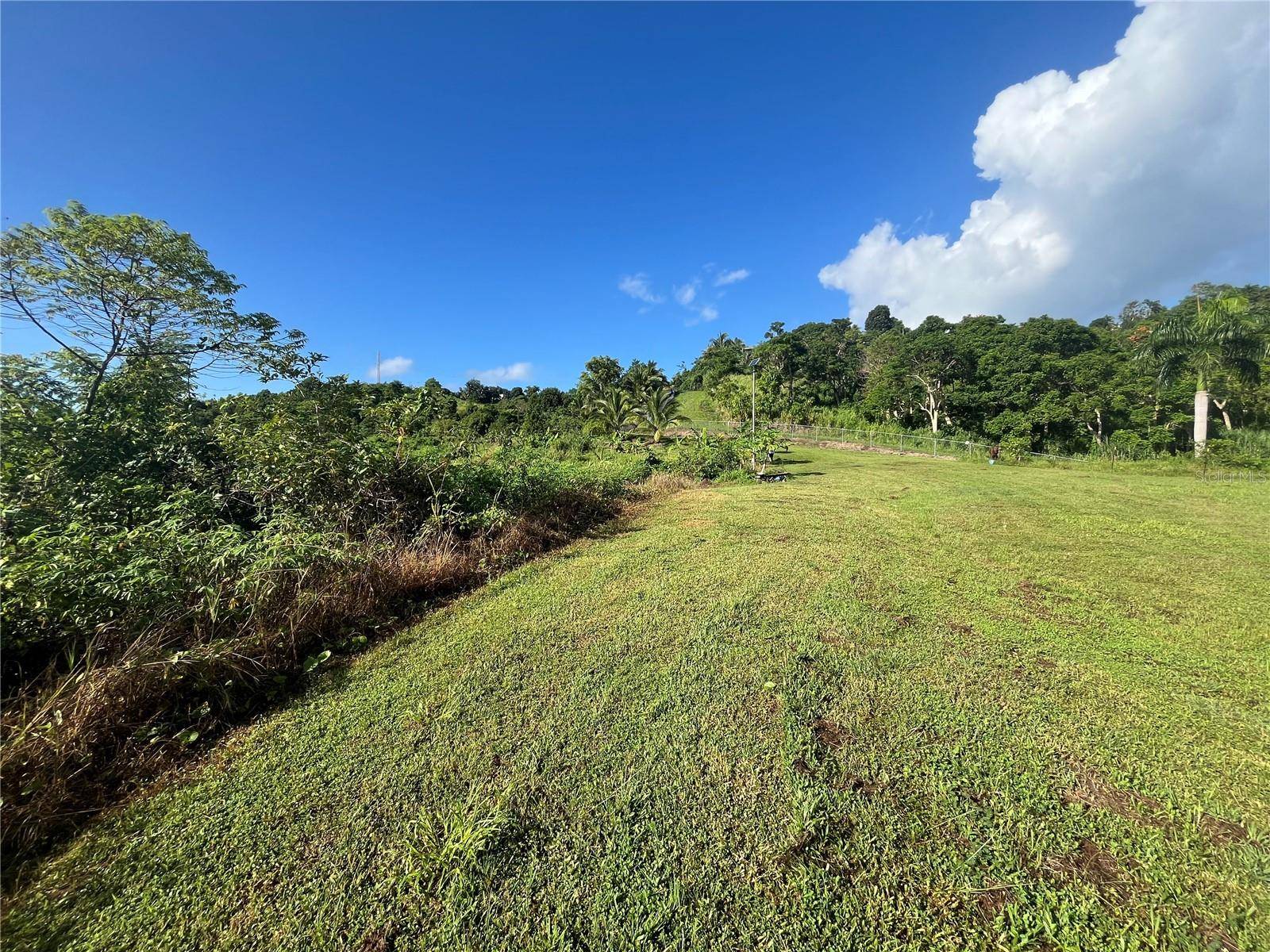 CARR. 857 KM.HM 003 3 BO. CANOVANILLAS, Carolina, PR 00987