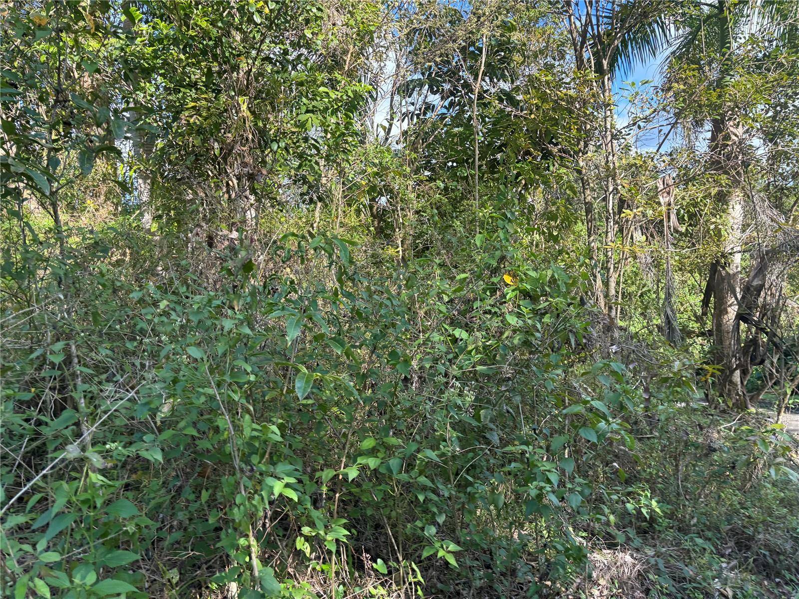 857 KM 5.2, Carolina, PR 00987