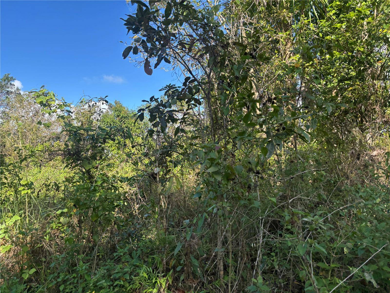 857 KM 5.2, Carolina, PR 00987