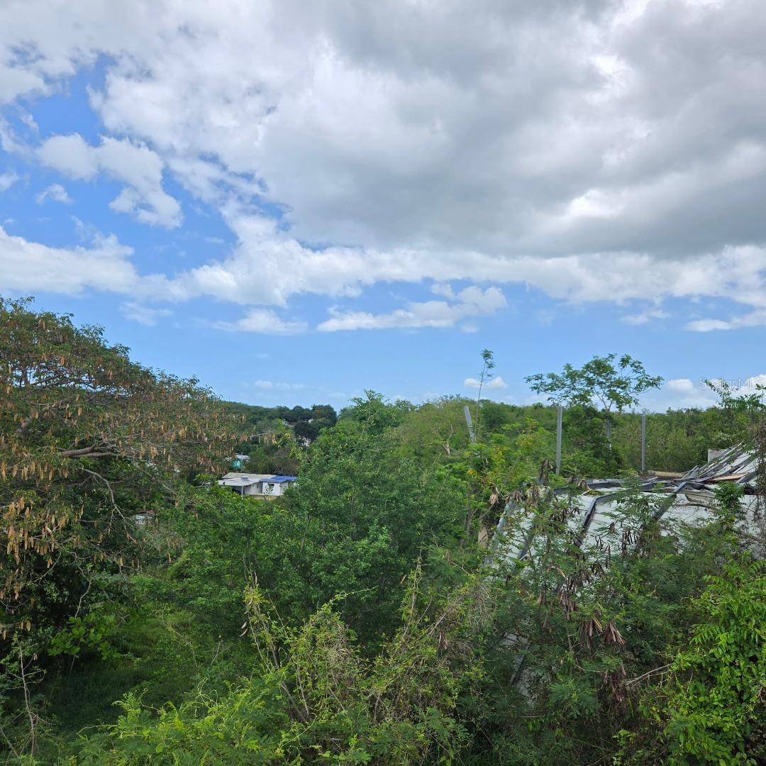 307 PEDERNALES WARD, Cabo Rojo, PR 00623