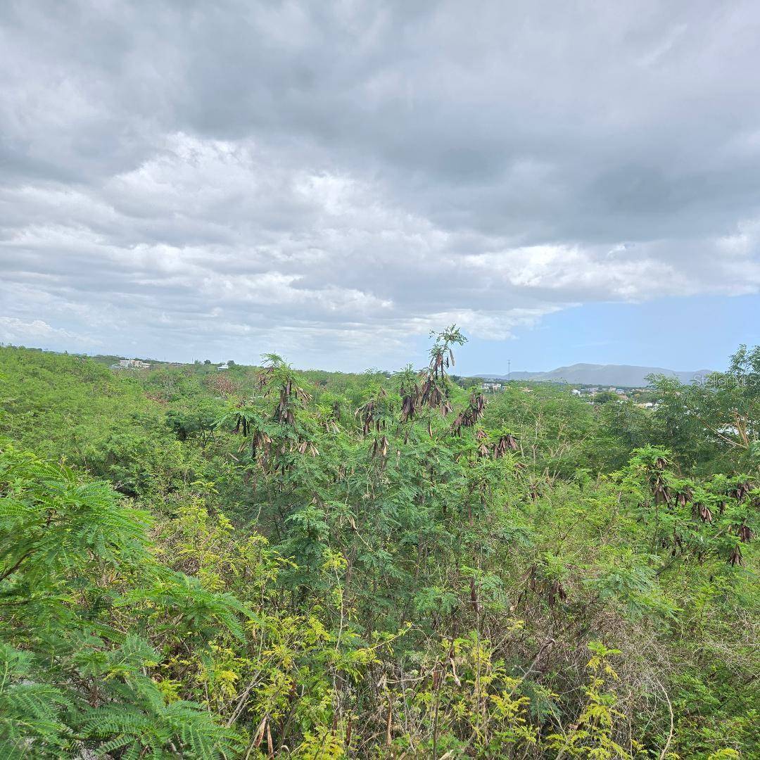 307 PEDERNALES WARD, Cabo Rojo, PR 00623