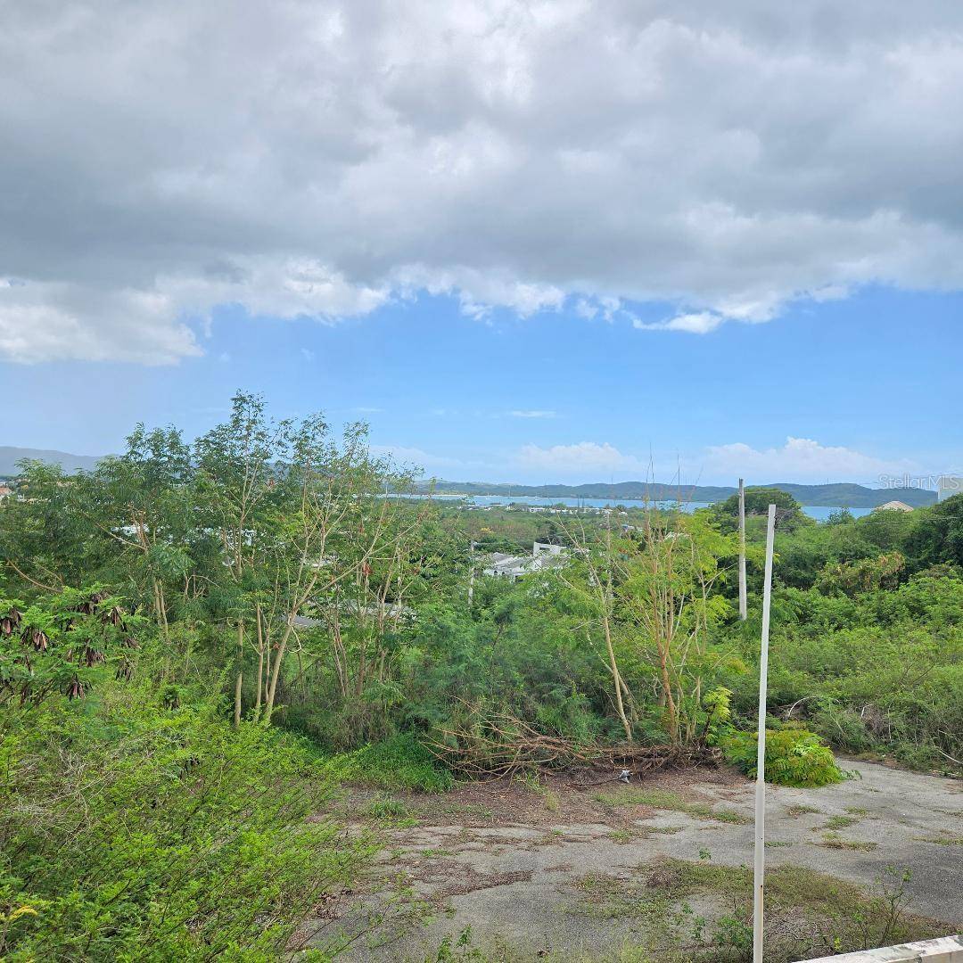 307 PEDERNALES WARD, Cabo Rojo, PR 00623