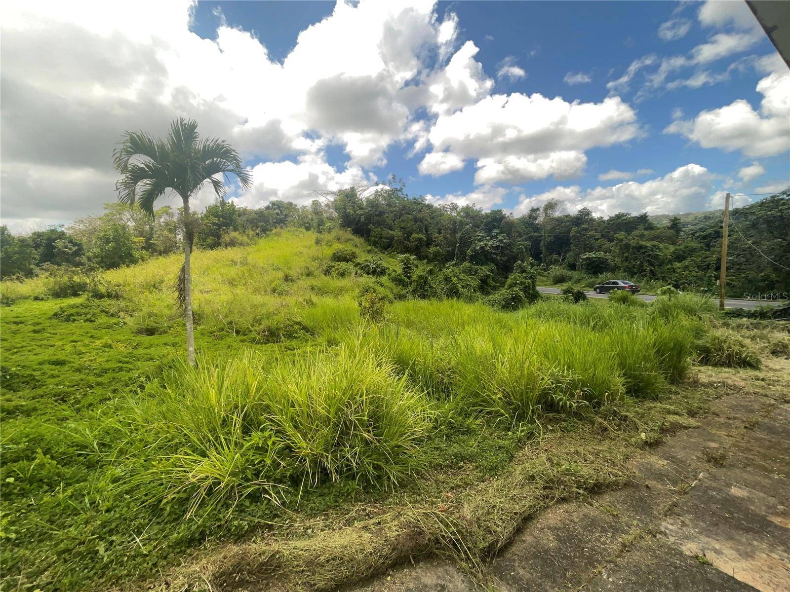 143 143, Barranquitas, PR 00794