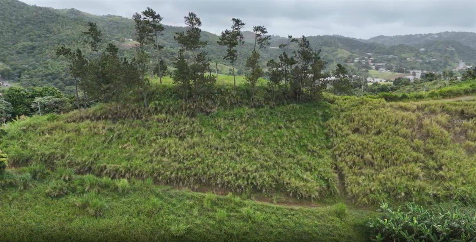 KM 0.2 INT Bo. Helechal PR 152, Barranquitas, PR 00794