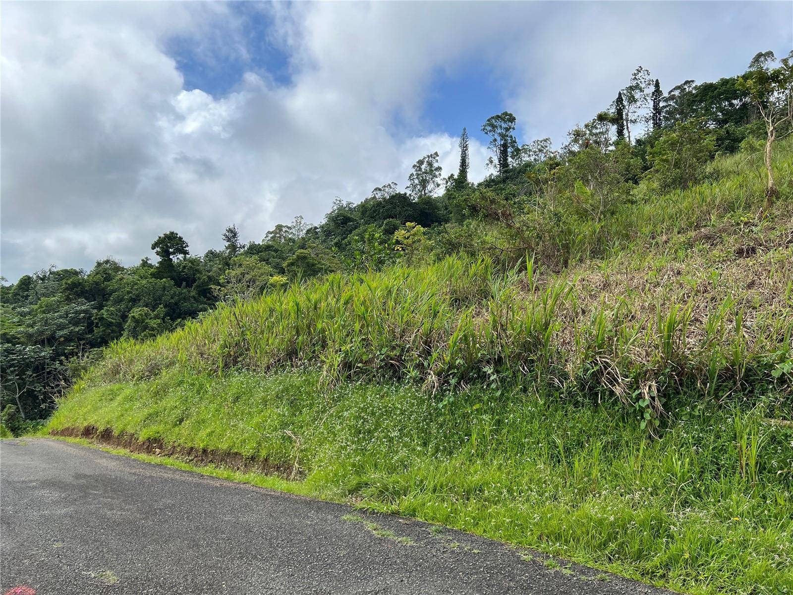 KM 0.2 INT Bo. Helechal PR 152, Barranquitas, PR 00794