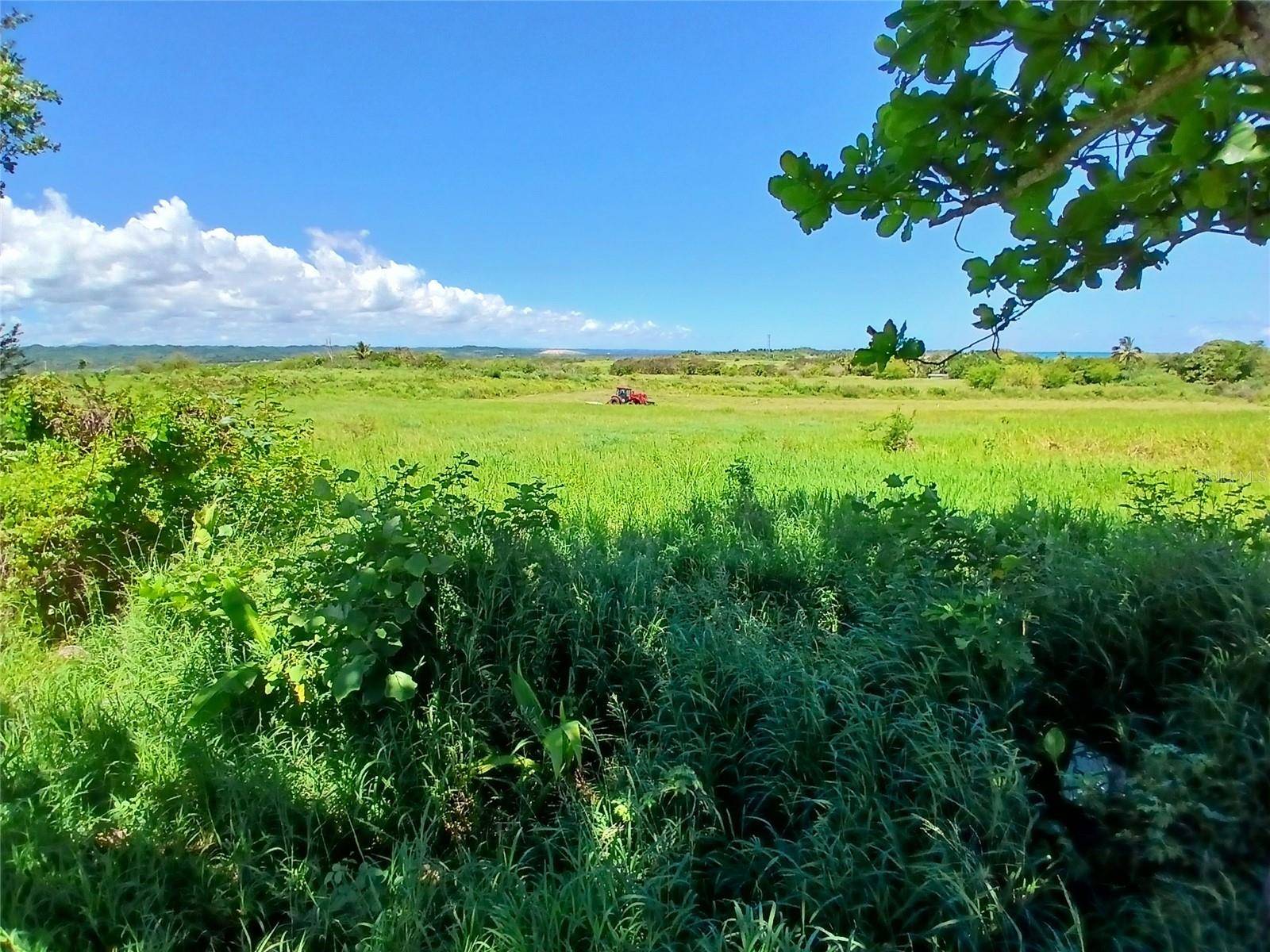 15.5 CARRETERA 681 KM.HM 15.5, Barceloneta, PR 00617