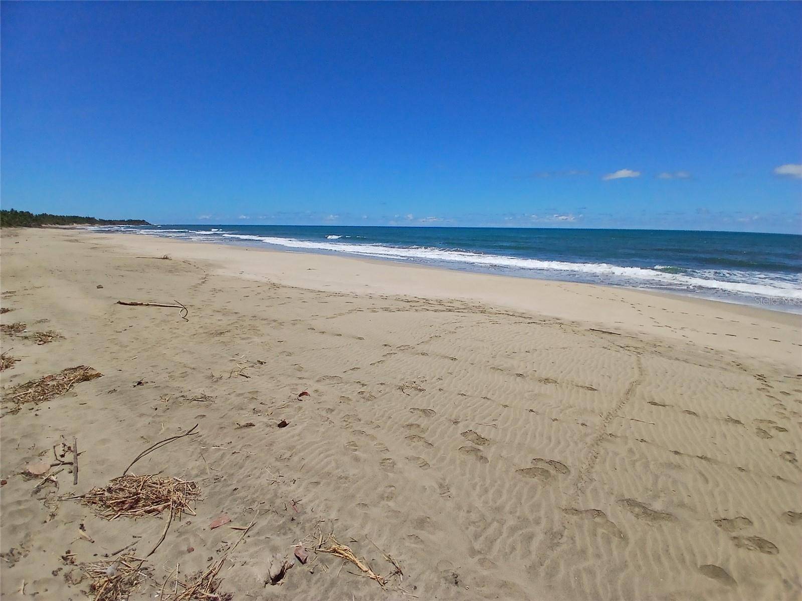 15.5 CARRETERA 681 KM.HM 15.5, Barceloneta, PR 00617