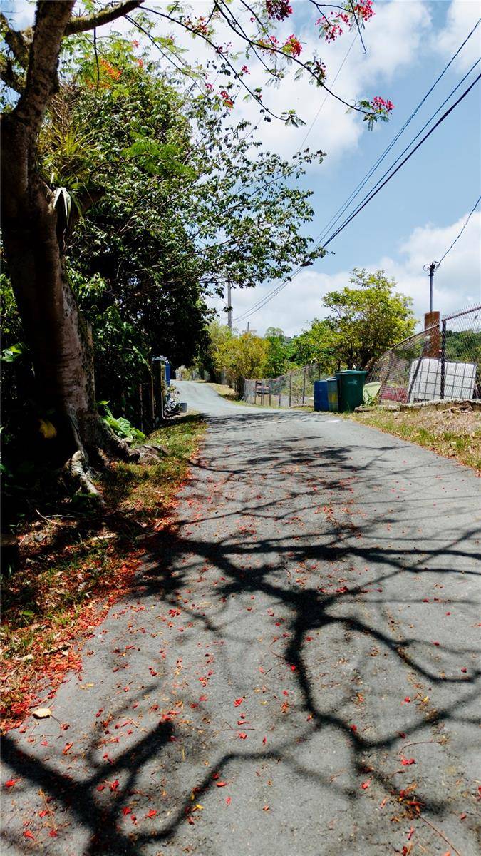 PR-715 KM 5.7 INT CERCADILLO, Cayey, PR 00736