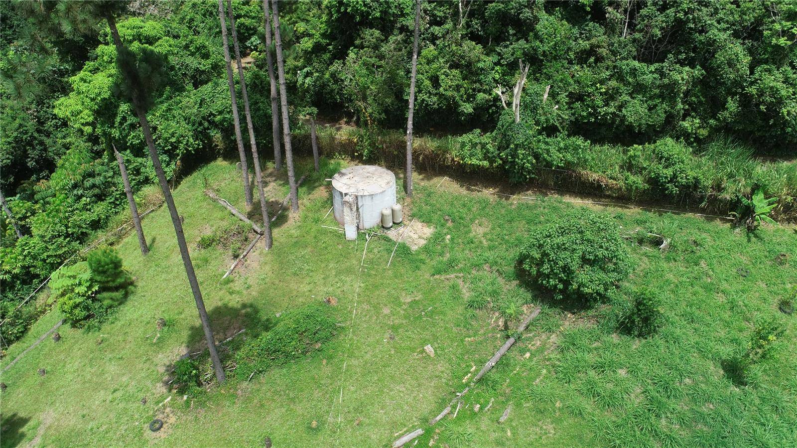C-26 ARCENIA, Aibonito, PR 00705
